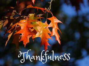 Thankfulness - Adopting An Attitude of Gratitude